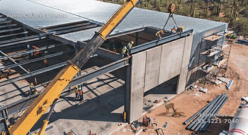 Impacto ambiental sobre animales endémicos por construcción de una obra
